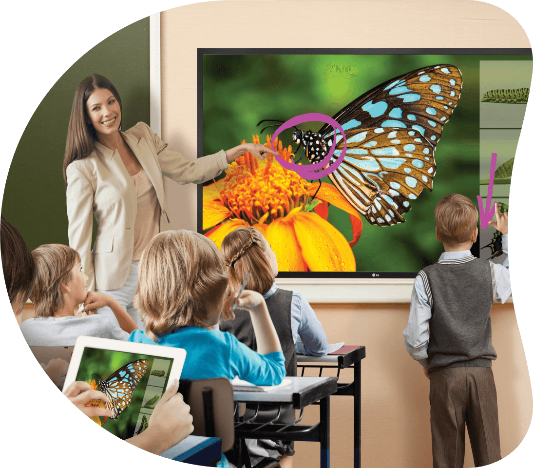 Lg brand ambassador